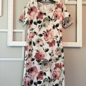 Honey and Lace Auburn Dress